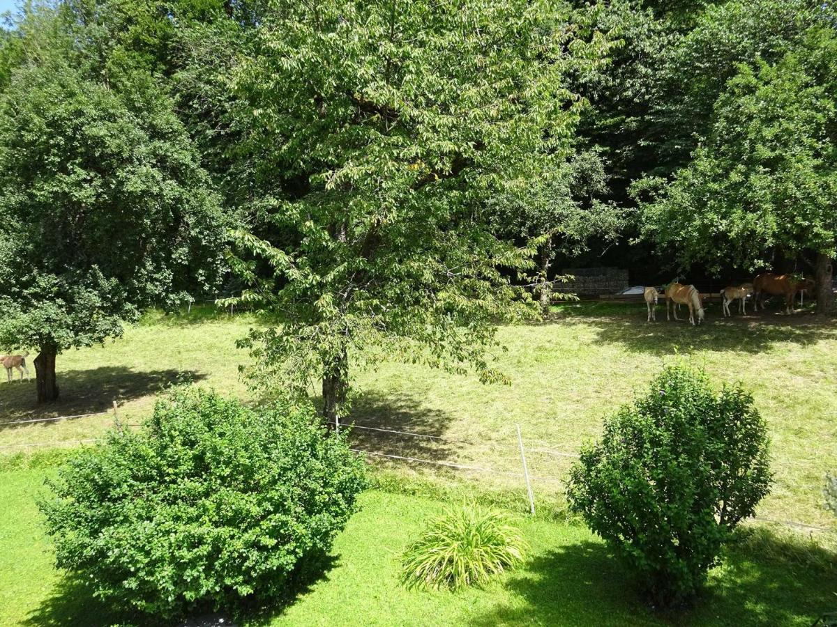 Ferienwohnungen Auhaus Bad Reichenhall Extérieur photo