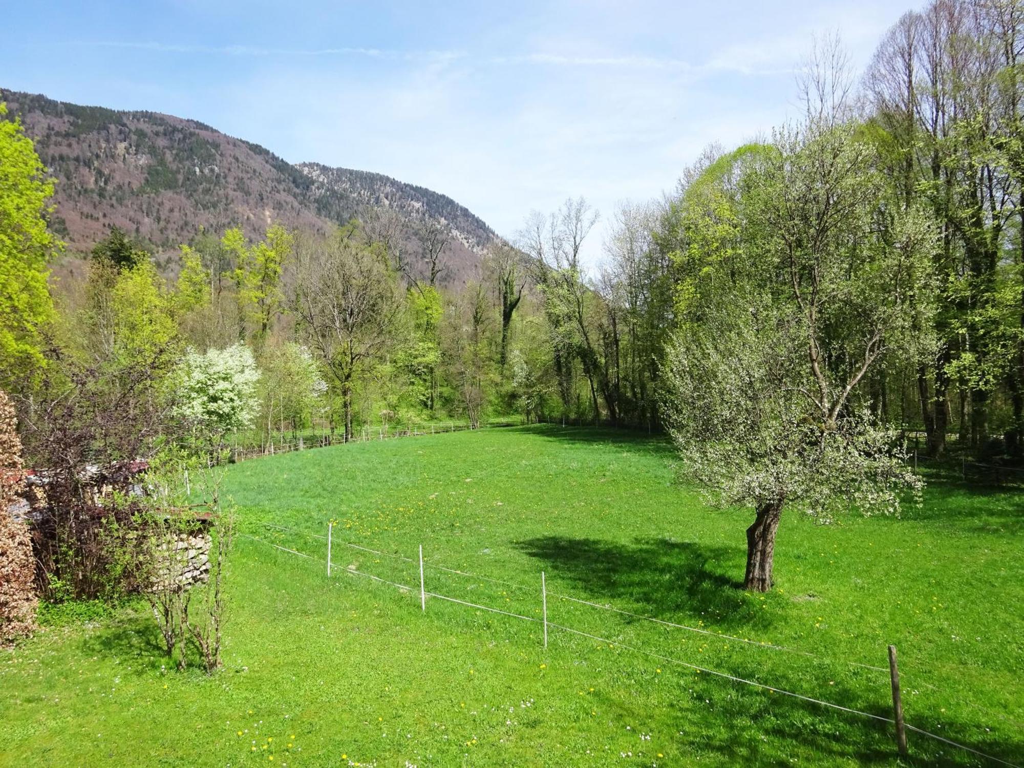 Ferienwohnungen Auhaus Bad Reichenhall Extérieur photo